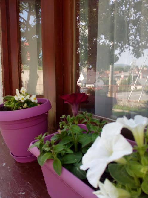 Guest House Olbina Кореница Экстерьер фото